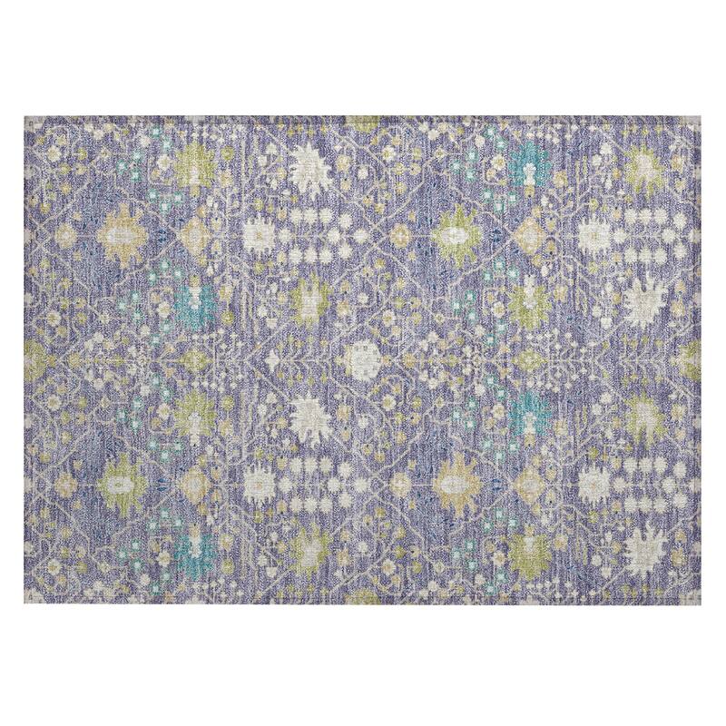Machine Washable Indoor/ Outdoor Global Traditional Chantille Rug