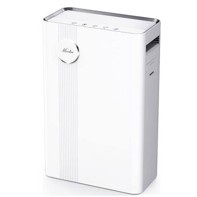 HEPA Air Purifiers Home for Large Rooms
