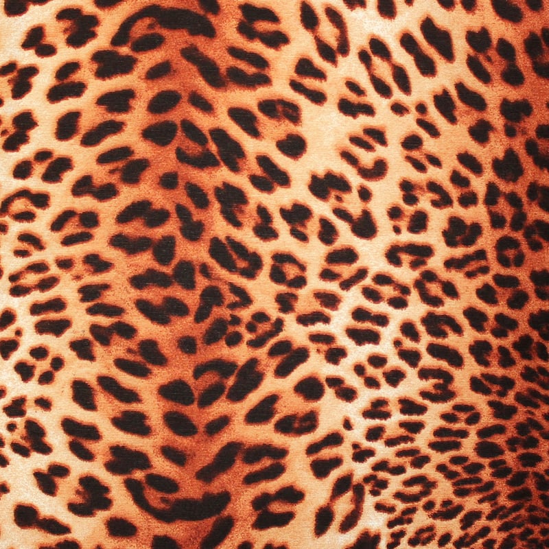 Pillow Decor Kitsui Leopard Throw Pillow 20x20
