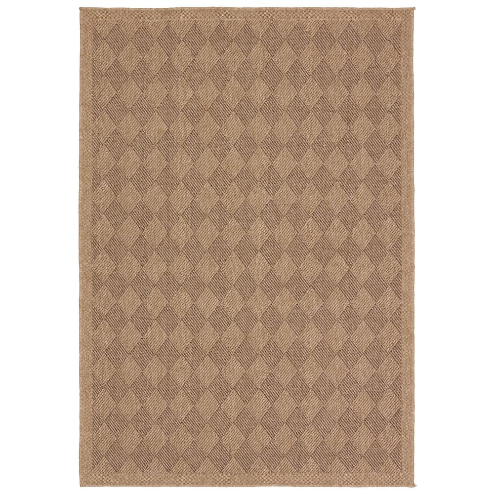 Amanar Indoor/Outdoor Tribal Area Rug