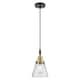 Option Black Antique Brass / Seedy Shade