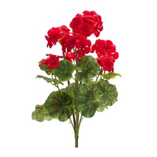 Geranium Bush (Set of 6) - 11.75