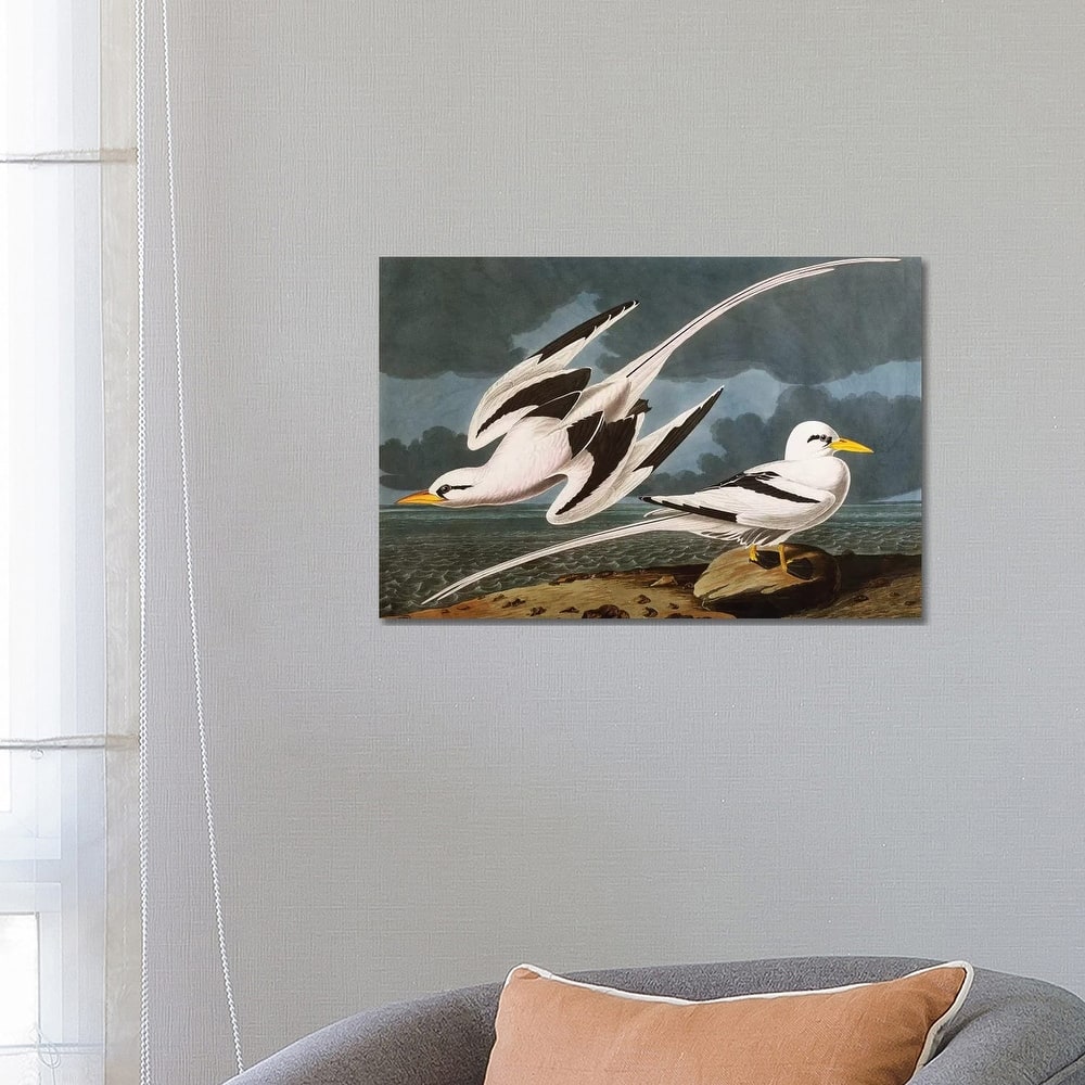 iCanvas "Tropic Bird plate CCLXII from 'The Birds of America'" by John James Audubon Canvas Print