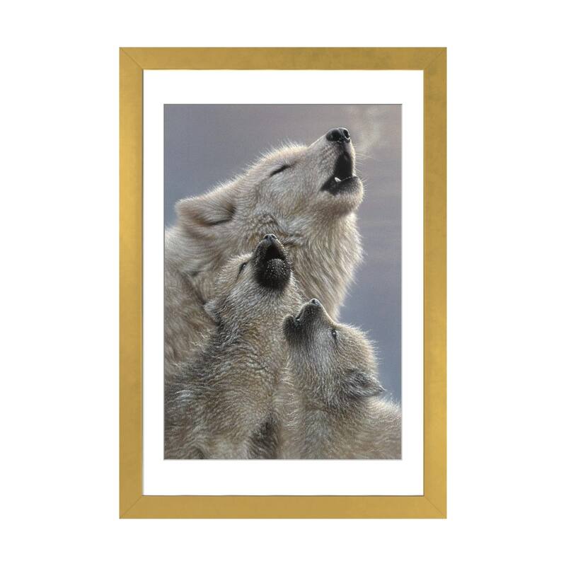 iCanvas "Wolf Singing Lessons" by Collin Bogle - Gold - 24x16x1