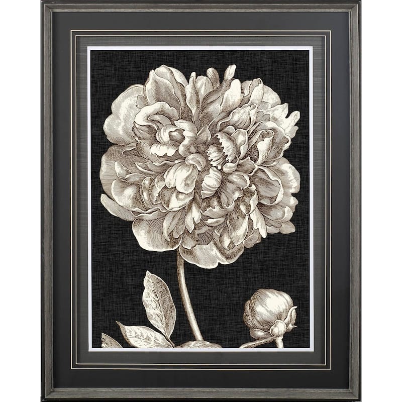 Dramatic Peony I Framed Art Print
