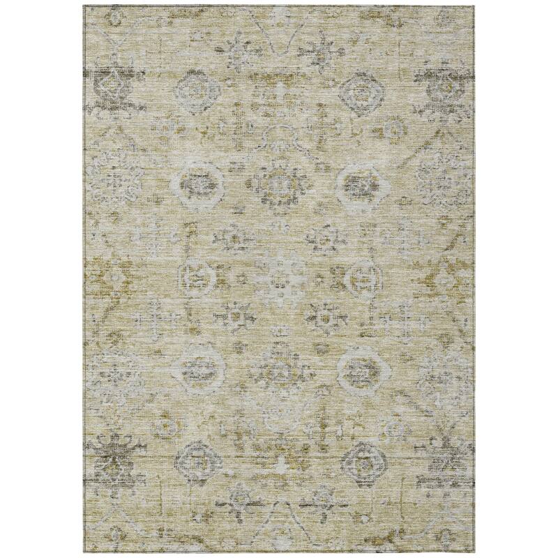 Machine Washable Indoor/ Outdoor Vintage Traditional Chantille Rug