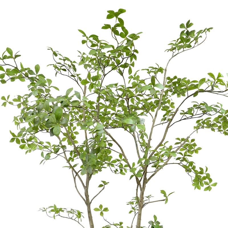 Bonsai Tree in Fiberstone Planter - 87