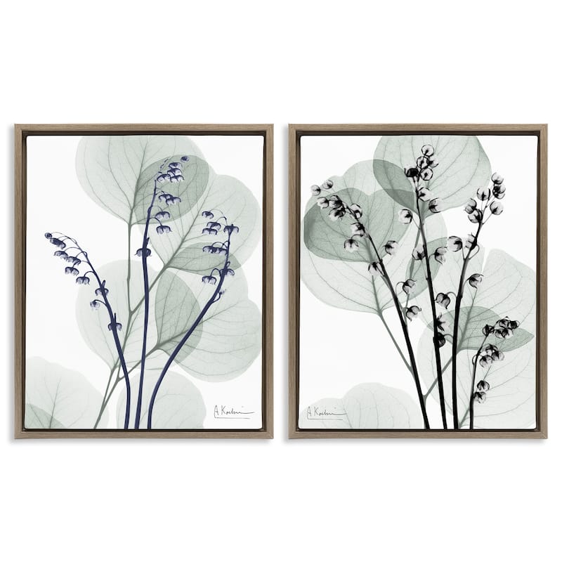 Stupell Future Dusk Opaque Herbs Framed Floater Canvas Wall Art Design By Albert Koetsier (Set of 2) - 25 x 31 - Brown
