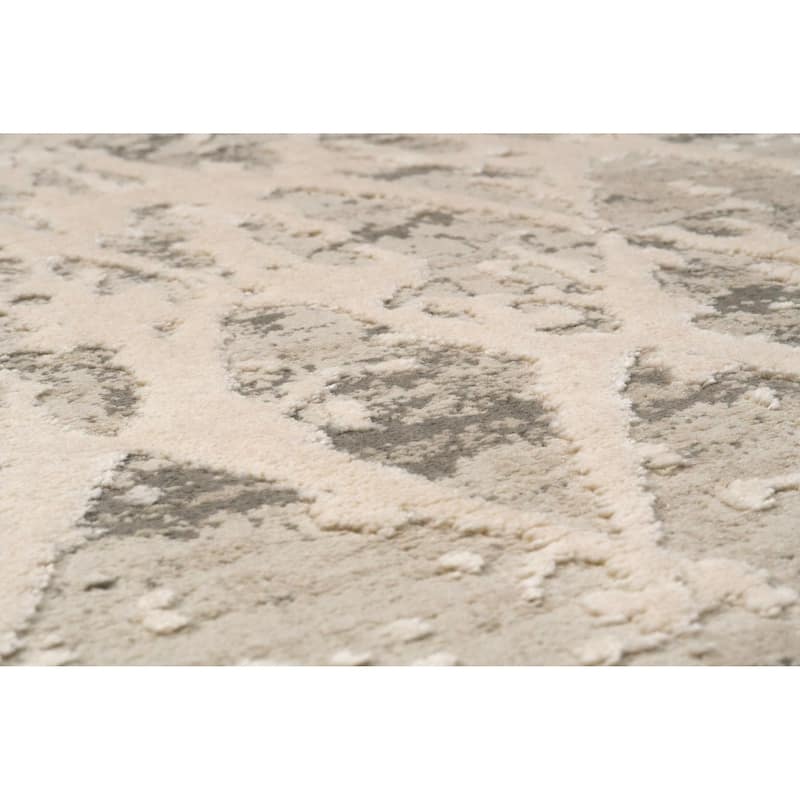 Dynamic Rugs Quartz Traditional Area Rug