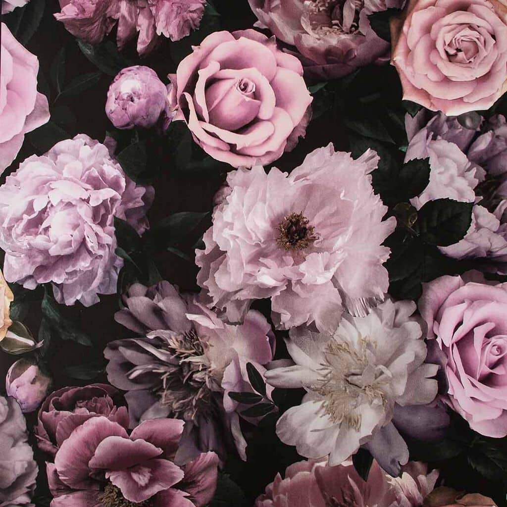 Pandora Drama Wallpaper