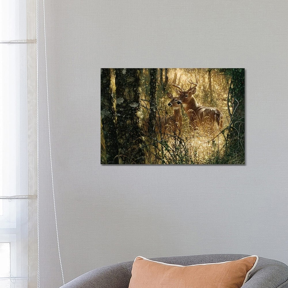 iCanvas "A Golden Moment - Whitetail Deer, Horizontal" by Collin Bogle Canvas Print