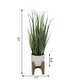 preview thumbnail 9 of 7, 50" Onion Grass in 10" Cathedral Ceramic Pot
