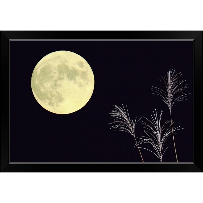 Grass and full moon