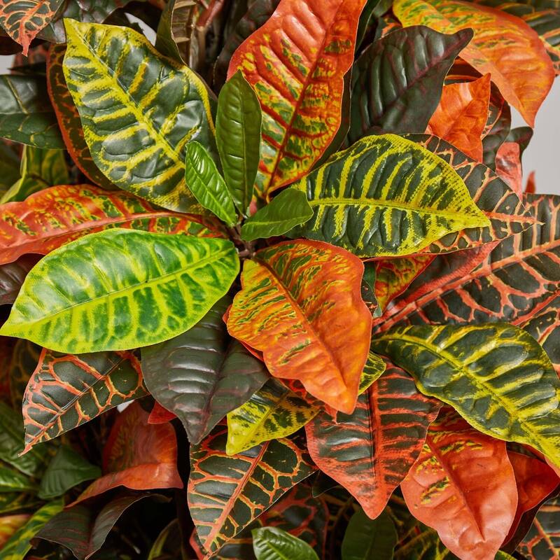 5.5ft Croton Artificial Plant with Real Touch Variegated Leaves in Retro Orange Planter for Home Decor - Green