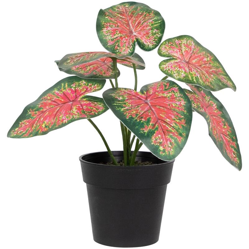 8" Rohdea Spring Floral Artificial Potted Plant
