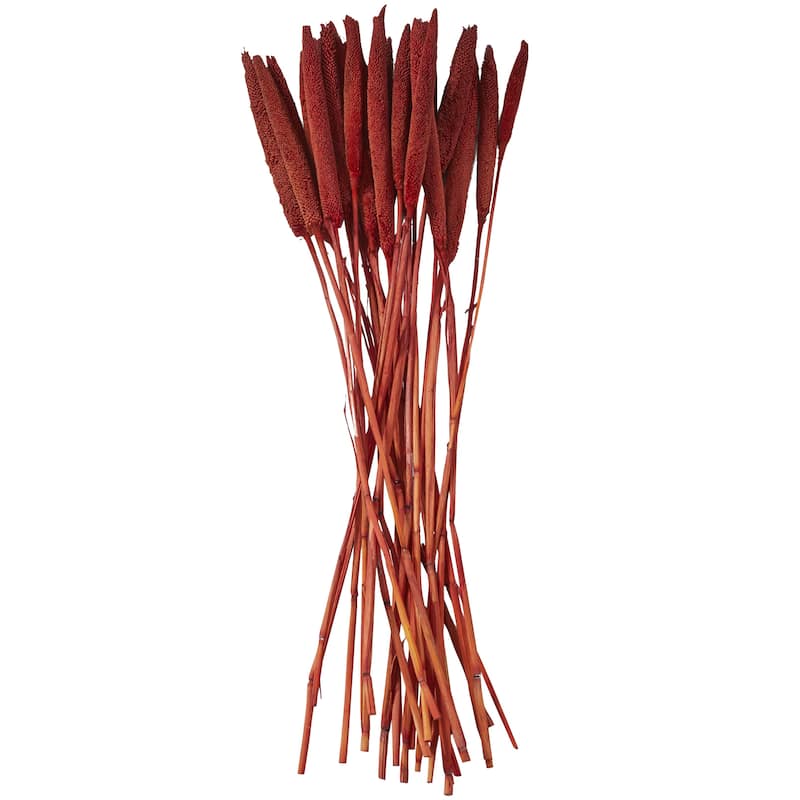 Dried Plant Bunny Tail Home Decor Natural Foliage - White, Red, Dark Brown, Orange, Green, Pink, Yellow - Roche River Decor