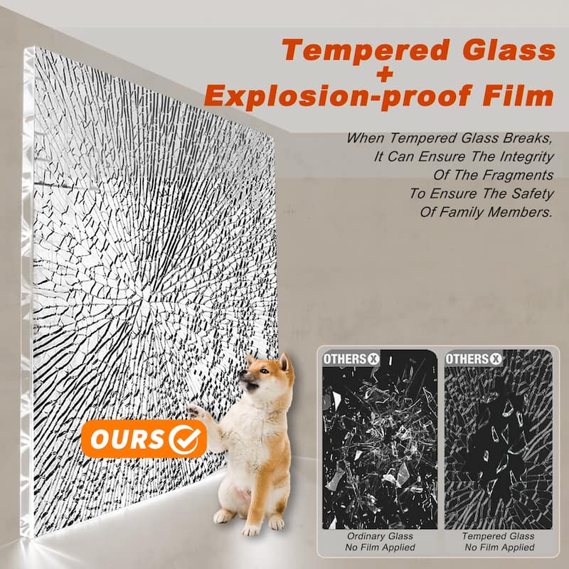 60 "W x 60" H Frameless Shower Door with Stainless Steel Handle - 60'' x 0.31'' x 60''