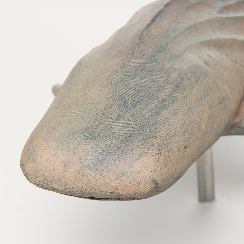 Willa Grey Resin Imitation Whale Shark Wall Decor