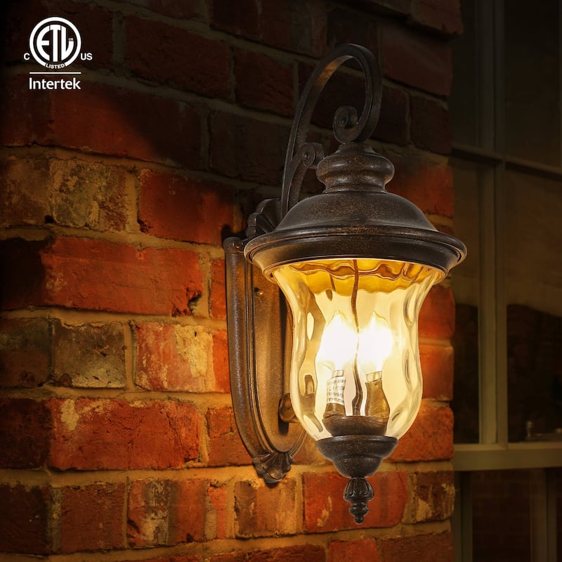 1-Pack 2-Light Vintage Outdoor Lantern Sconce Light with Clear Glass Shade (No bulb)