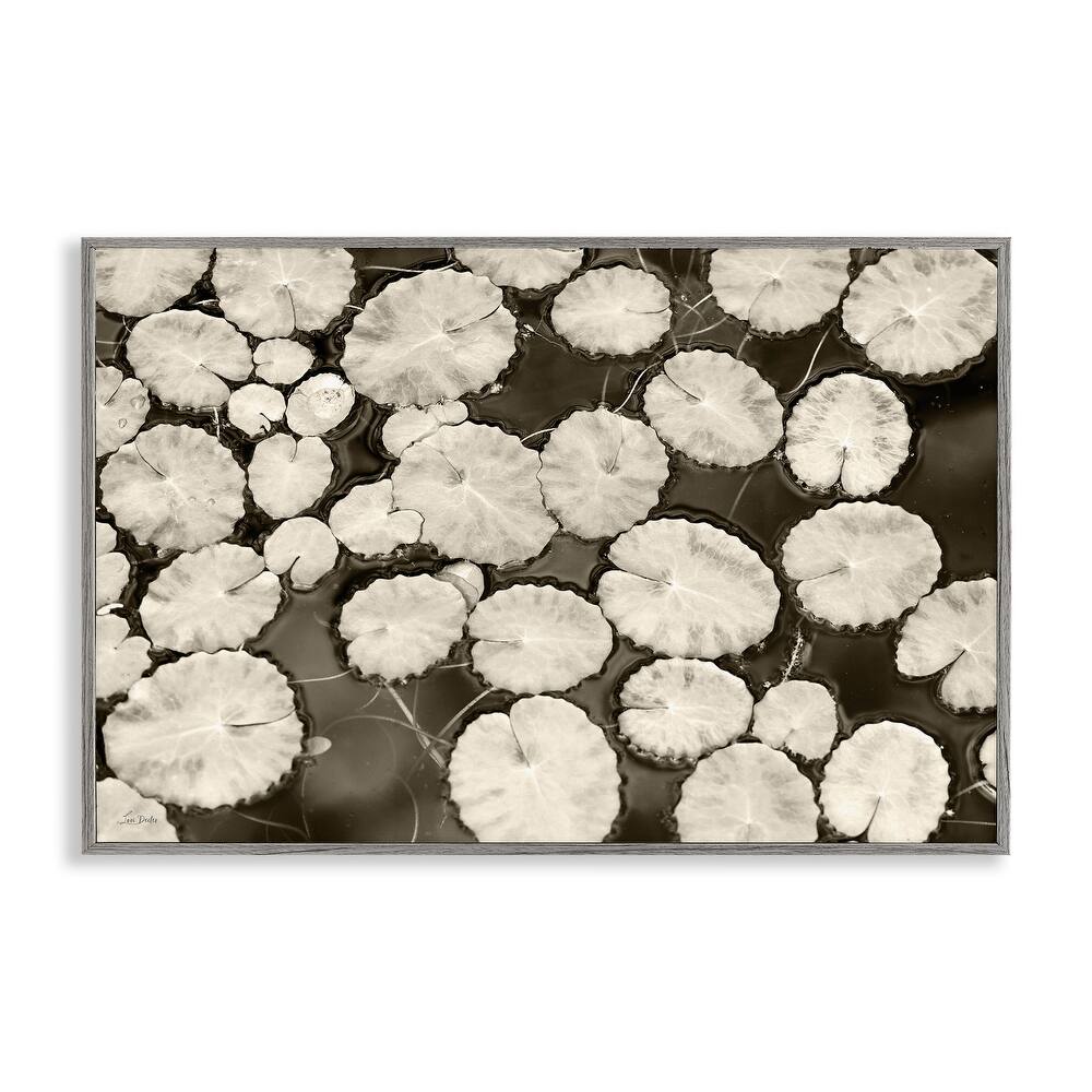 Stupell White Floating Lily Pads Framed Giclee Art Design By Lori Deiter