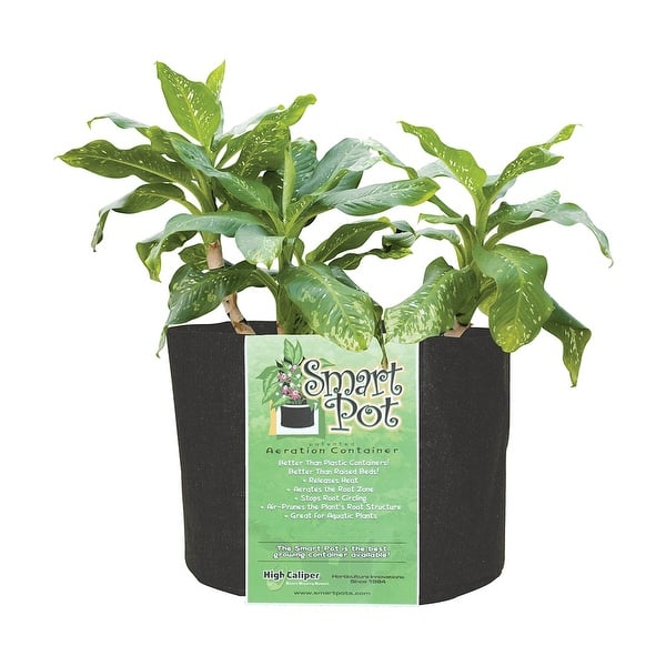 Smart Pot 30 Gallon Fabric Dirt Planter Flower Pot Soft Sided Container,  Black - 0.8 - Bed Bath & Beyond - 35733251