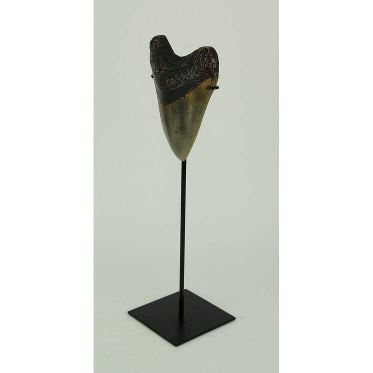 Mounted Giant Megalodon Imitation Shark Tooth Fossil Sculpture - 13.75 X 4.5 X 4 inches