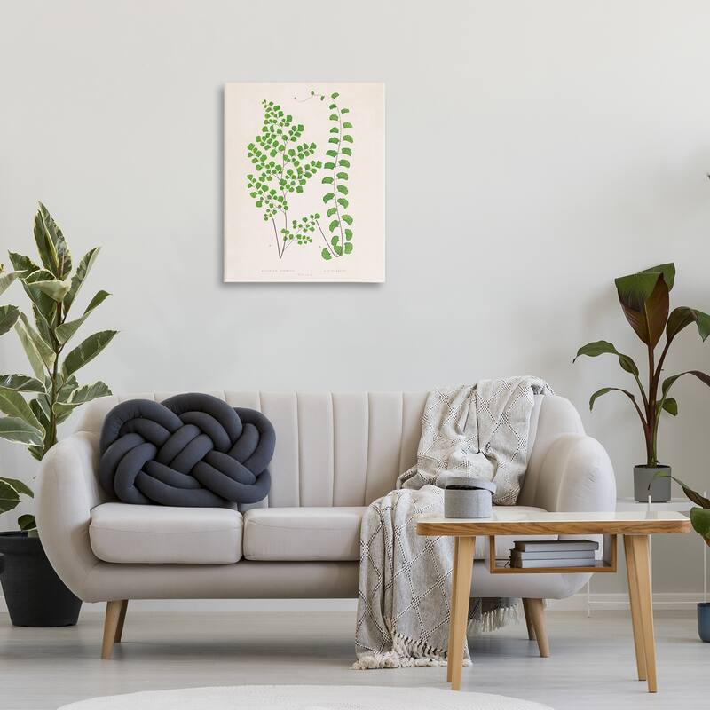 Stupell Vivid Green Ferns Study Canvas Wall Art Design By Phillipa Katz