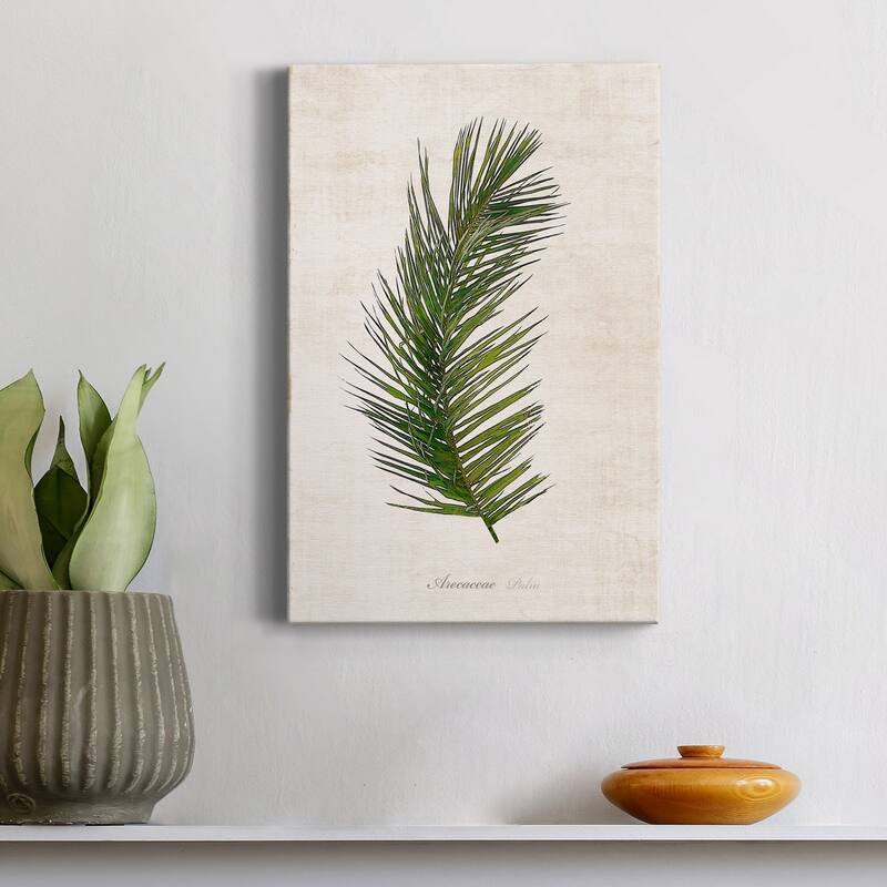 Palm Botanical II Premium Gallery Wrapped Canvas - Ready to Hang