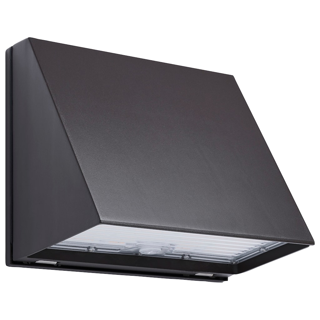 Nuvo Lighting 65/556 10" Tall LED Outdoor Wall Sconce