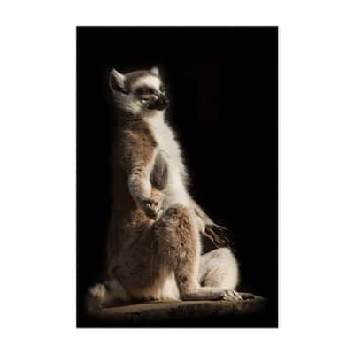 Photography Animals Lemur Meditation Meerkat Night Art Print/Poster ...
