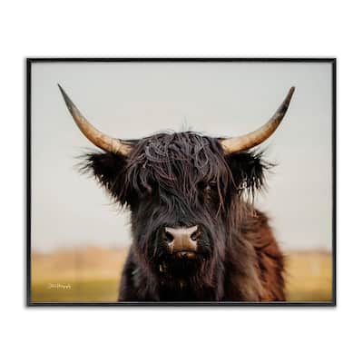 Stupell Black Highland Cow Portrait Framed Giclee Art Design by Dakota Diener