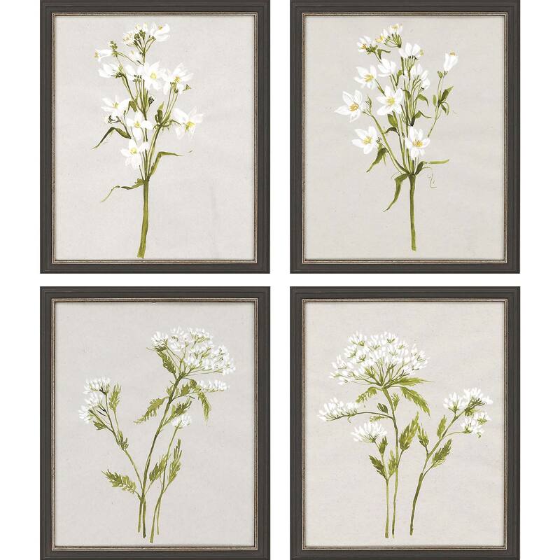White Field Flowers S/4 Framed Art Giclee Under Glass - 22 X 18 X 3