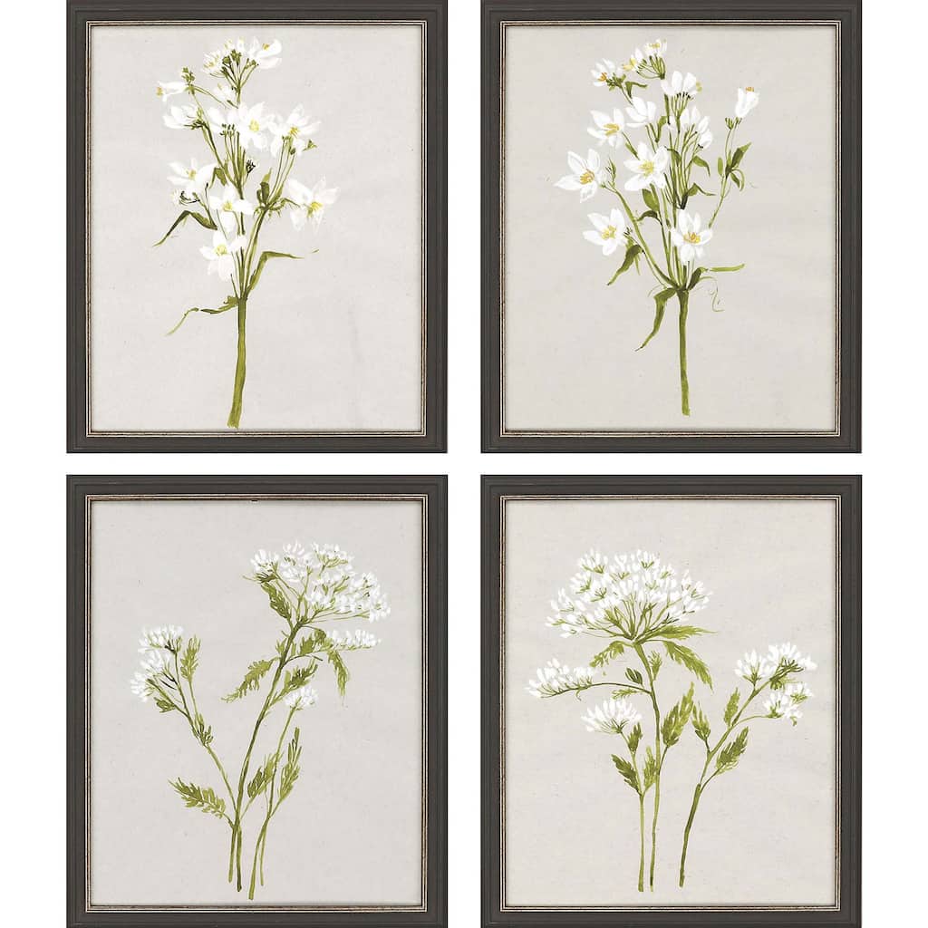 White Field Flowers S/4 Framed Art Giclee Under Glass