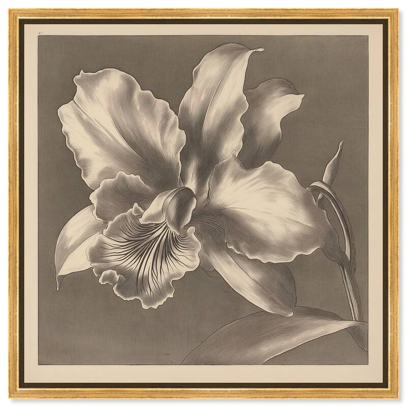 Petals Unfurled I Canvas by Art Remedy - 20" x 20" - Gold
