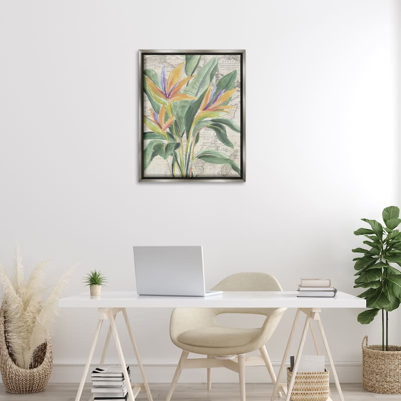 Stupell Bird of Paradise over Map Framed Floater Canvas Wall Art Design By June Erica Vess