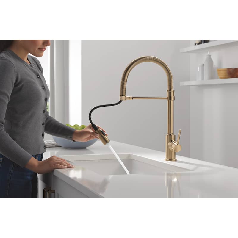 Delta Trinsic Pro Pre-Rinse Pull-Down Kitchen Faucet with Magnetic