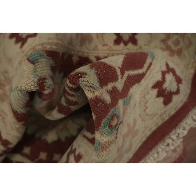 Hand Knotted Oriental 100% Wool Carpet Traditional All-Over Brown Ziegler Area Rug - 3' 10'' X 2' 0''