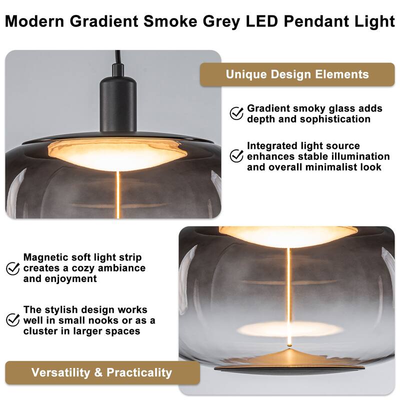 Smoke Gradient Clear Plastic LED Globe Pendant Light