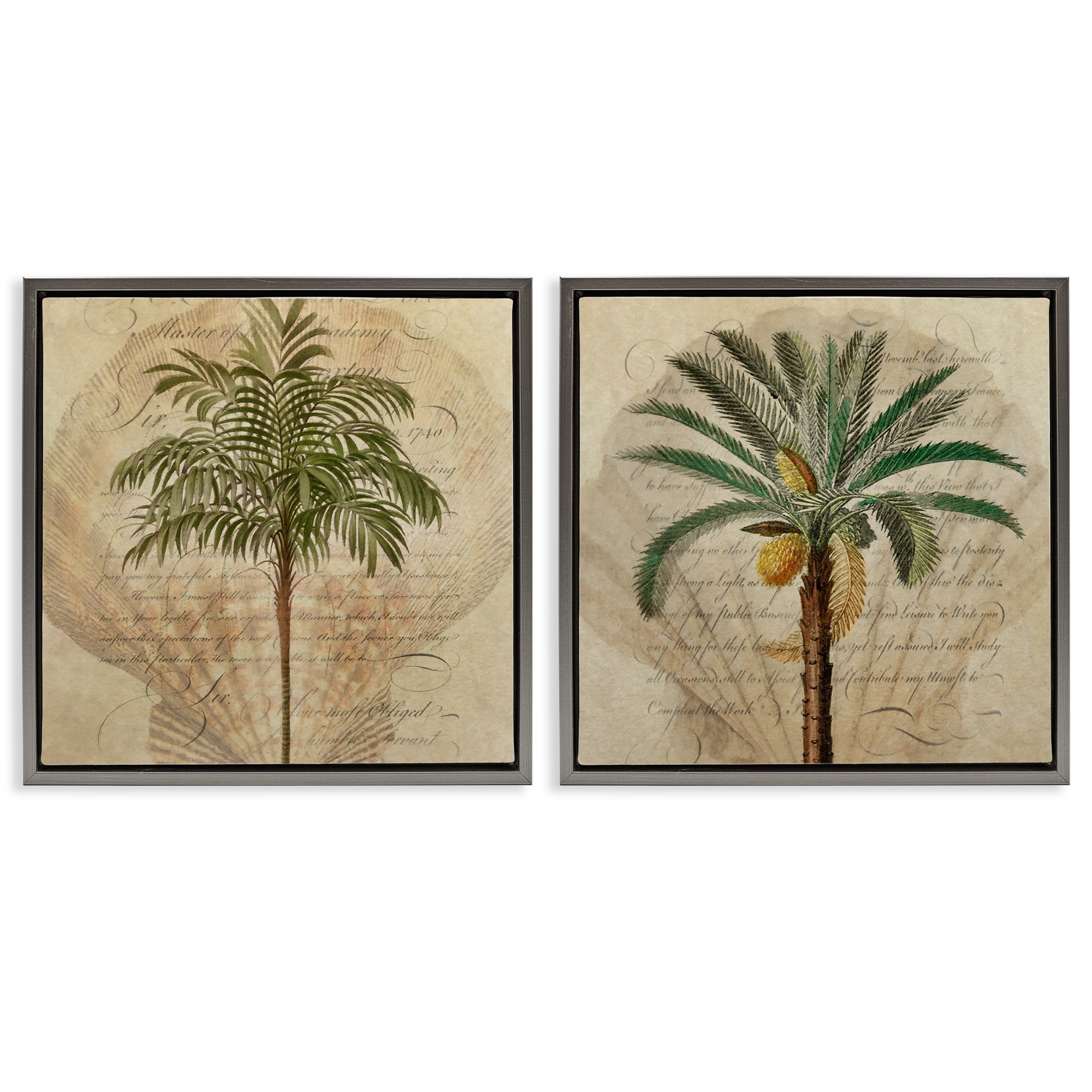 Stupell Subdued Tropical Palms Framed Floater Canvas Wall Art Design By Steve Hunziker (Set of 2)