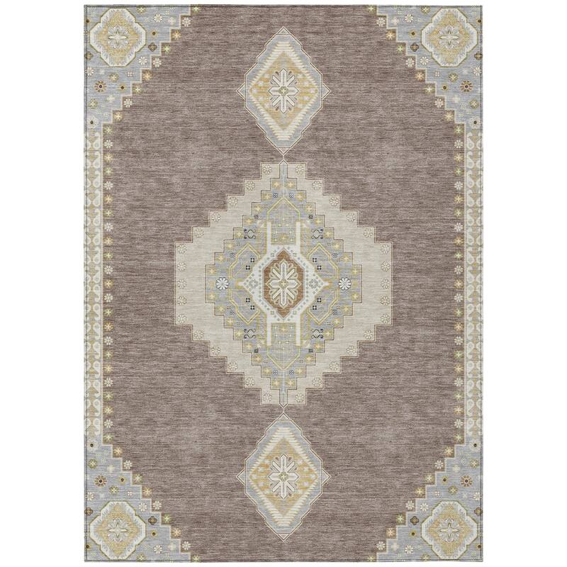 Machine Washable Indoor/ Outdoor Boho Traditional Chantille Rug
