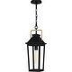 preview thumbnail 1 of 6, Buckley 1-Light Matte Black Outdoor Hanging Lantern