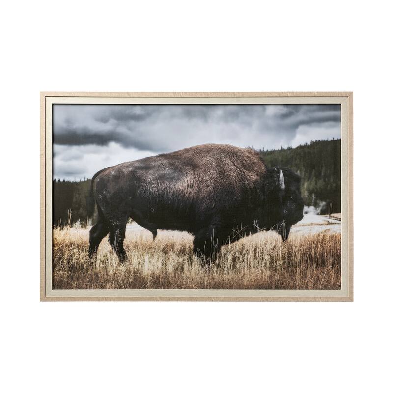 Yellowstone Bison Framed Art Print