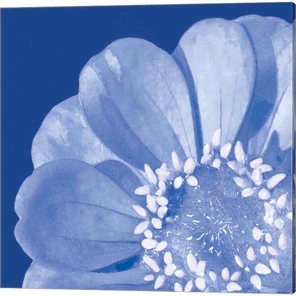 Marie Elaine Cusson Flower Pop Blue Canvas Art Set Of 3 Overstock 31770226