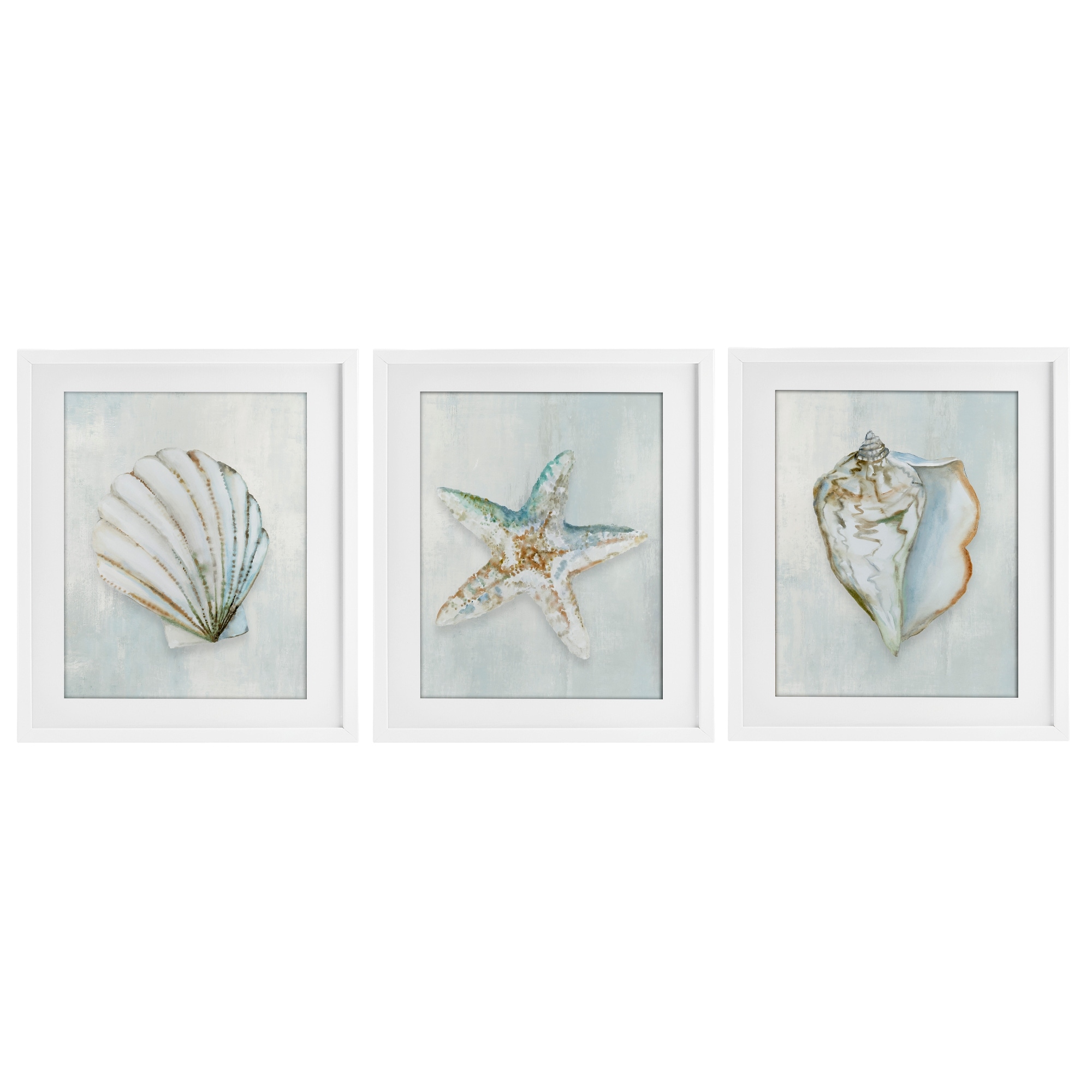 Stupell Muted Sea Life Serenity Under Glass Framed Design By Hannah Dawson (Set of 3)
