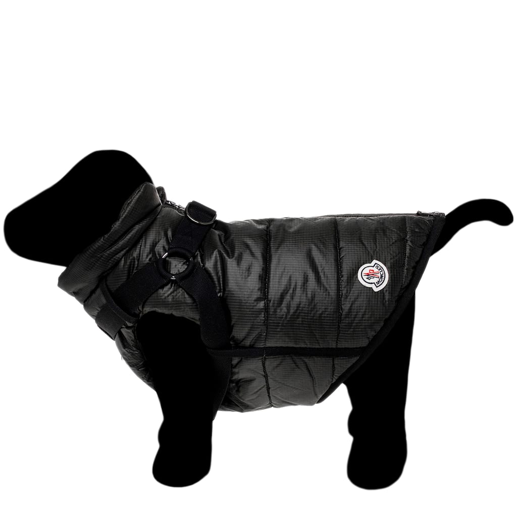 Moncler Padded Dog Vest