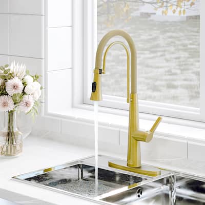 Spring Kitchen Sink Faucet with Detachable Towel Rack, Kitchen Faucet for Kitchen Sink