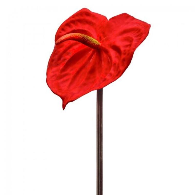 Red Anthurium Stem Artificial Flower