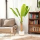 preview thumbnail 12 of 15, Enova Home Realistic Artificial Banana Tree in Nursery Pot for Indoor and Outdoor Decoration