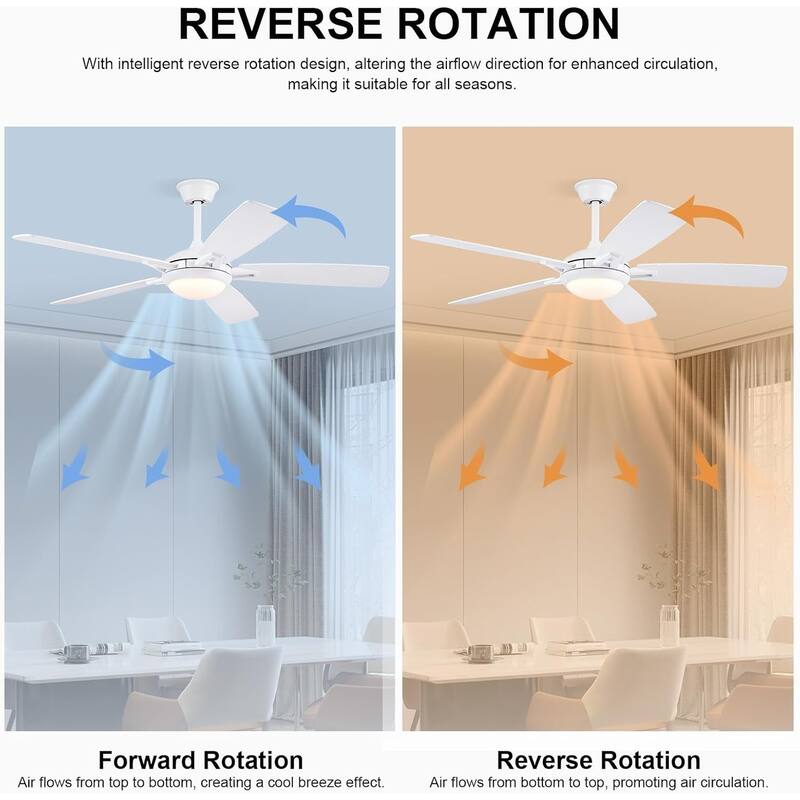 52" Downrod Ceiling Fan with Light and Remote,Reversible DC Motor,5 Plywood Dual Side Blades - 52 Inches