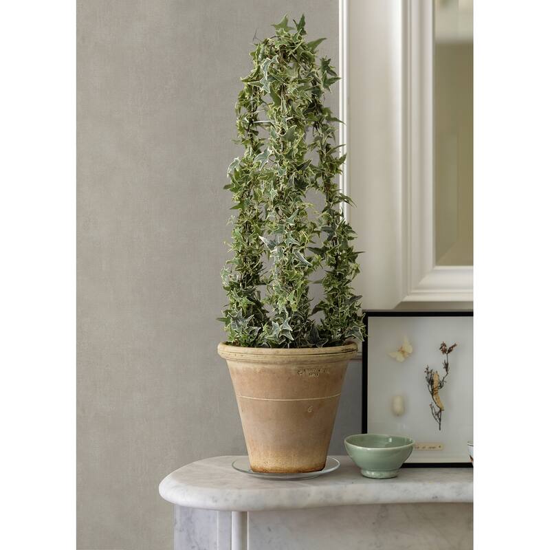 Advantage Riomar Taupe Distressed Texture Wallpaper - 20.9in x 396in x 0.025in - 20.9in x 396in x 0.025in